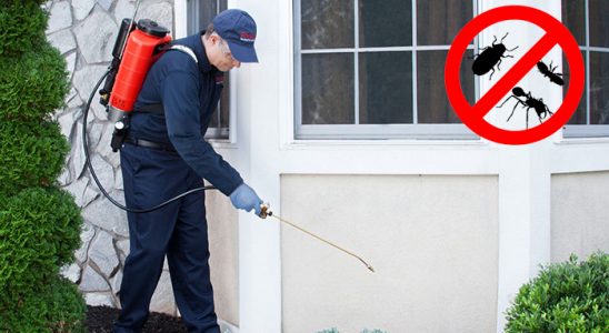 Çankaya Kene İlaçlama böcek ilaçlama ve haşere kontrolü — ilaclama-tr.com
